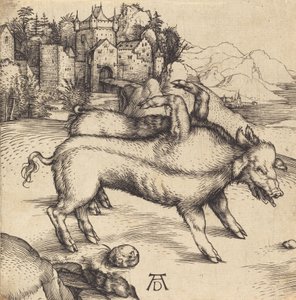 Het Monsterlijke Varken van Landser, waarschijnlijk 1496 door Albrecht Dürer