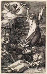  door Albrecht Dürer