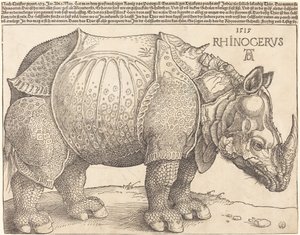De neushoorn