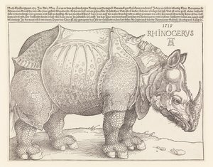 De neushoorn door Albrecht Dürer