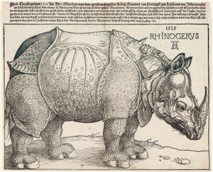 De neushoorn door Albrecht Dürer