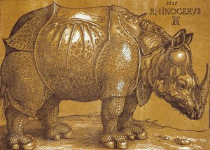 De Neushoorn, 1515