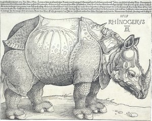 De neushoorn, 1515 door Albrecht Dürer