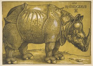 De neushoorn, na 1620