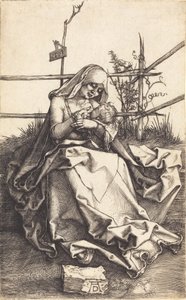 De Maagd en het Kind op een grasbank, 1503 door Albrecht Dürer