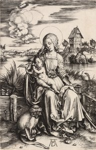 De Maagd en het Kind met de Aap door Albrecht Dürer