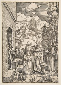 De Visitatie uit Het leven van de Maagd door Albrecht Dürer