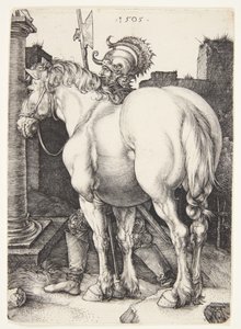 Het grote paard door Albrecht Dürer