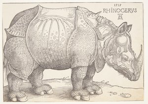 De neushoorn door Albrecht Dürer