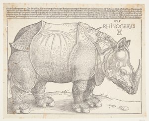 De neushoorn door Albrecht Dürer