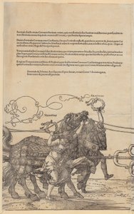  door Albrecht Dürer