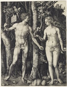 Adam en Eva