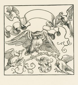 Een uil aangevallen door vier andere vogels, c.1515 (houtsnede) door Albrecht Dürer or Duerer