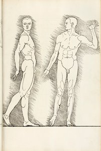 Anatomische houtsnede uit Hierinn sind begriffen vier bücher von menschlicher Proportion, 1528