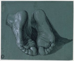 Studie van twee voeten - Tekening door Albrecht Dürer (1471-1528), Waterverf, witte kleur, zwart krijt op papier, ca 1508 (17,6x21,6cm) - Museum Boijmans Van Beuningen, Rotterdam