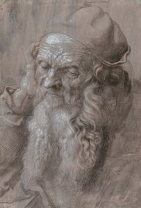 Hoofd van een oude man door Albrecht Dürer