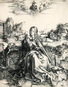 Madonna met een libel (gravure) door Albrecht Dürer