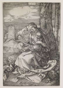 Madonna met de peer door Albrecht Dürer or Duerer