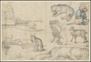 Schetsen van dieren en landschappen
