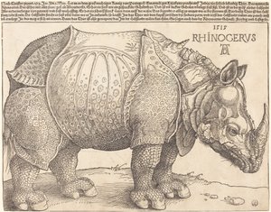 De neushoorn