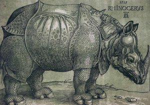 De neushoorn