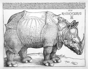 De Neushoorn, 1515