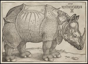 De Neushoorn, 1515