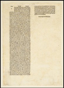 De Apocalyps, Sint Michael vecht tegen de Draak door Albrecht Dürer