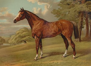Stilton een Jager, ca. 1879