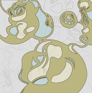 Vloeiende organische vormen door Alejandra Winkhaus