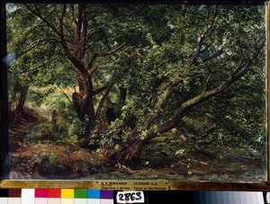De bomen van de rivier door Aleksandr Andreevich Ivanov