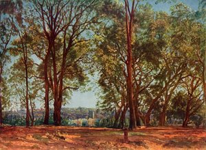 In het Aricci Park, 1830s, 1965