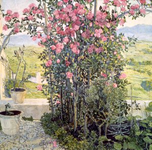 De vallei in Umbrië, 1910s door Aleksandr Jakovlevic Golovin