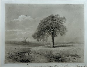 Landschap met molen door Alexei Kondratjewitsch Sawrassow