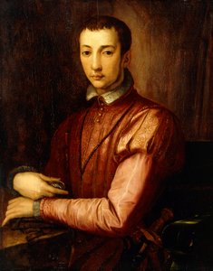 Portret van Francesco I de