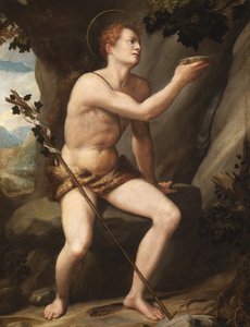 Johannes de Doper door Alessandro Allori