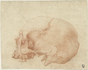 Studie van een schedel door Alessandro Allori