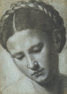 Hoofd van een vrouw met gevlochten haar