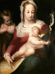 Madonna met Kind en Jonge Sint Jan