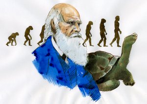 Portret van Charles Darwin - Portret van de Engelse natuuronderzoeker Charles Darwin (1809-1882) - Illustratie