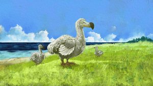 Afbeelding van de uitgestorven dodo (illustratie) door Alessandro Lonati