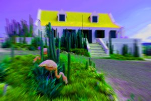Poppenhuis, 2019 door Alex Caminker