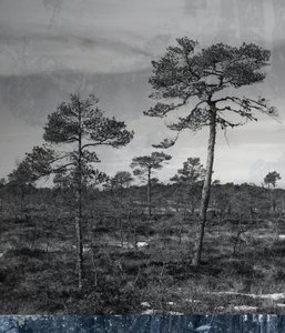 blauwe ondergrond
