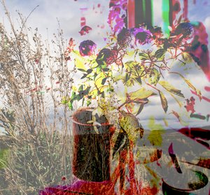 Stilleven, 2019 door Alex Caminker