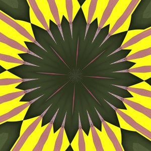 zonnebloem