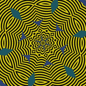 symmetrie #13