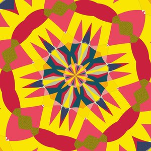 symmetrie #15 door Alex Caminker