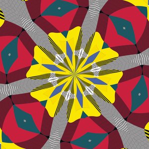 symmetrie #17 door Alex Caminker