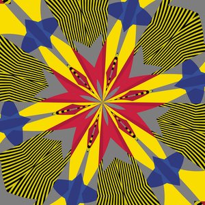 symmetrie #30 door Alex Caminker
