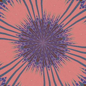 symmetrie #34 door Alex Caminker